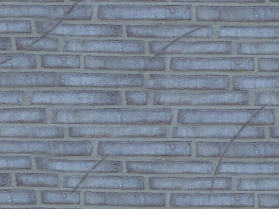 Kridtsnor
